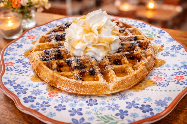 images/gallery/17.jpg#joomlaImage://local-images/gallery/17.jpg?width=640&height=426